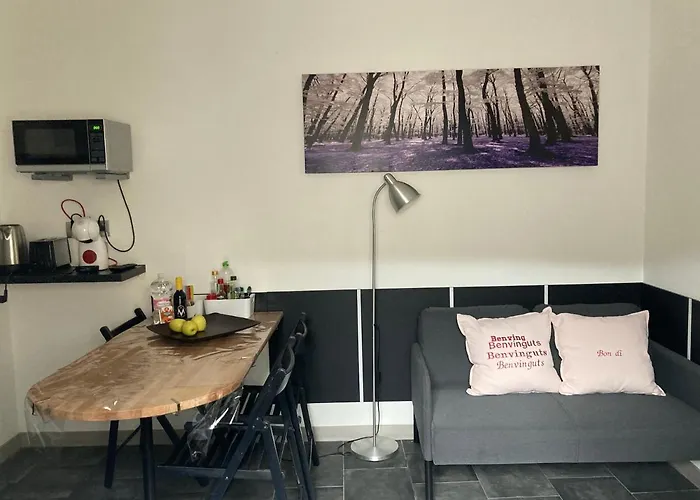 Asv Apartments